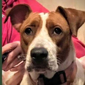 Meet your Posher, Shellie